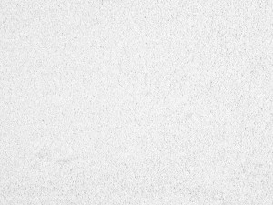 Carpe Diem_Z878_030